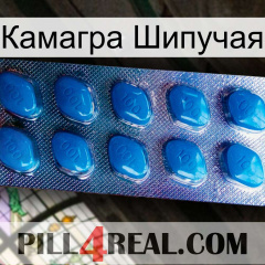 Камагра Шипучая viagra1